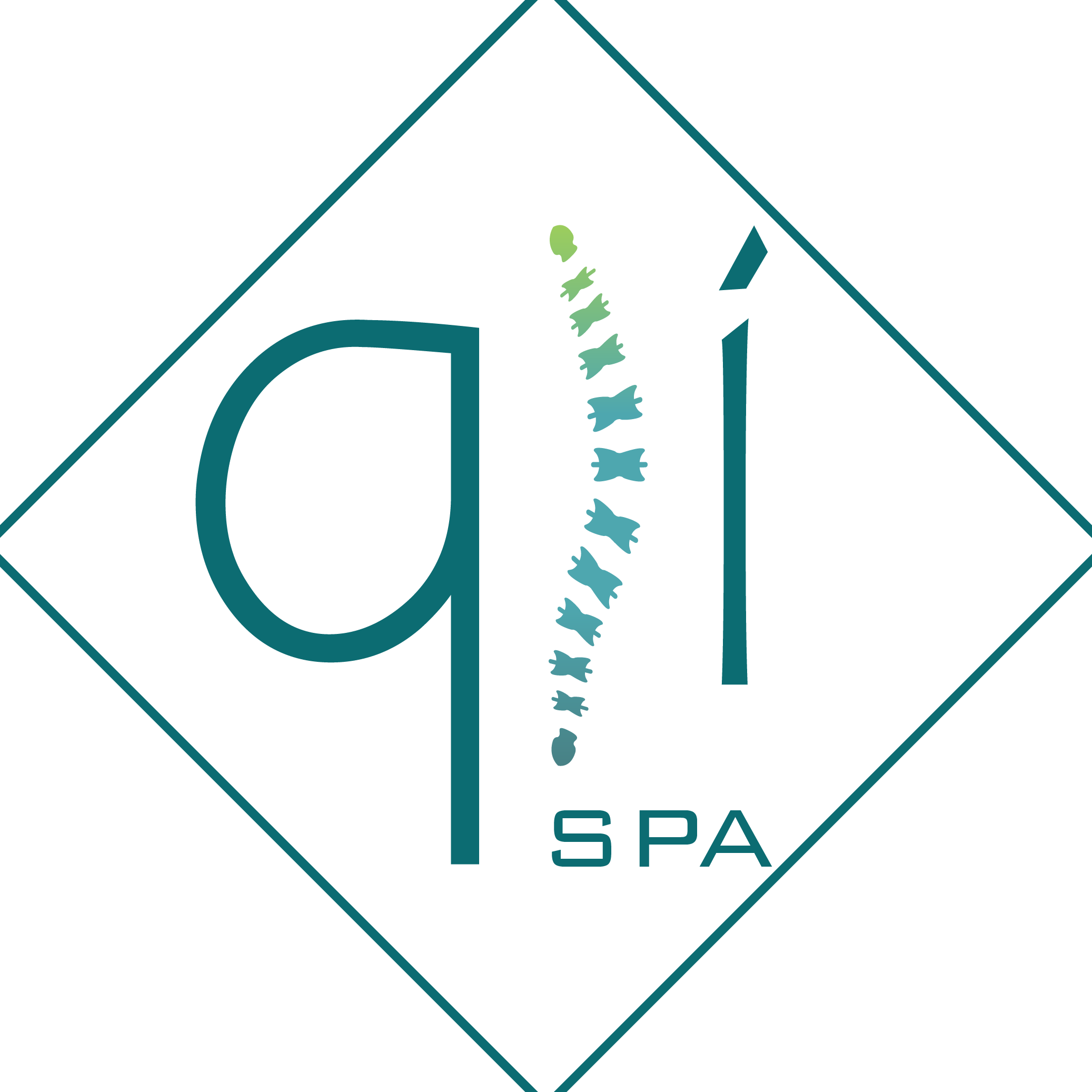 qí SPA